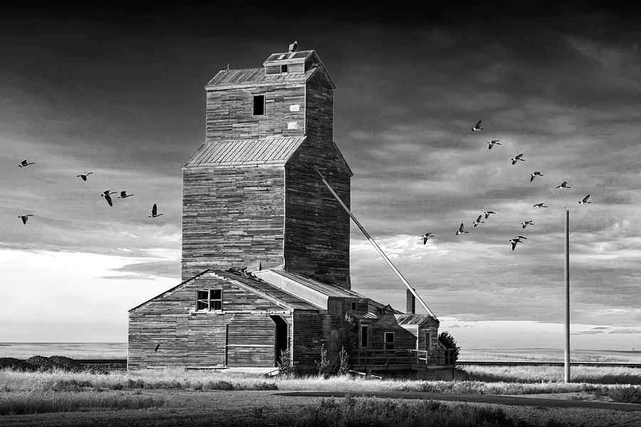 Grain Elevator on the Prarie with Flying Migrating Geese in Blac Photograph by Randall Nyhof