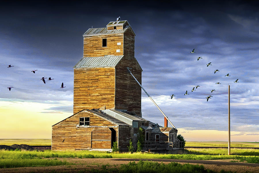 Grain Elevator on the Prarie with Flying Migrating Geese  Photograph by Randall Nyhof