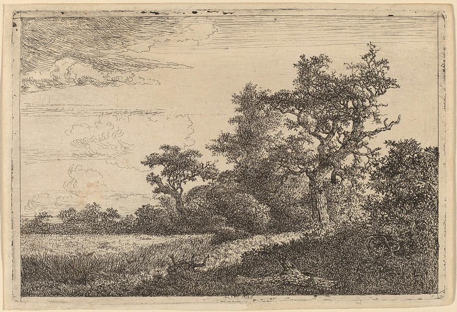 Grain Field at the Edge of a Wood Drawing by Jacob van Ruisdael - Pixels