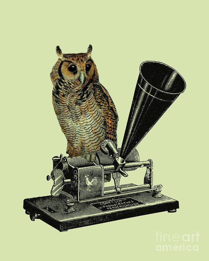 Owl Digital Art - Gramophone Owl by Madame Memento