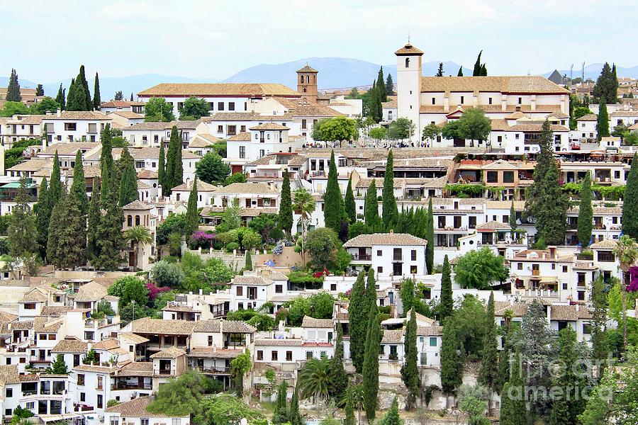 Granada City Scape  Photograph by Suzanne Oesterling