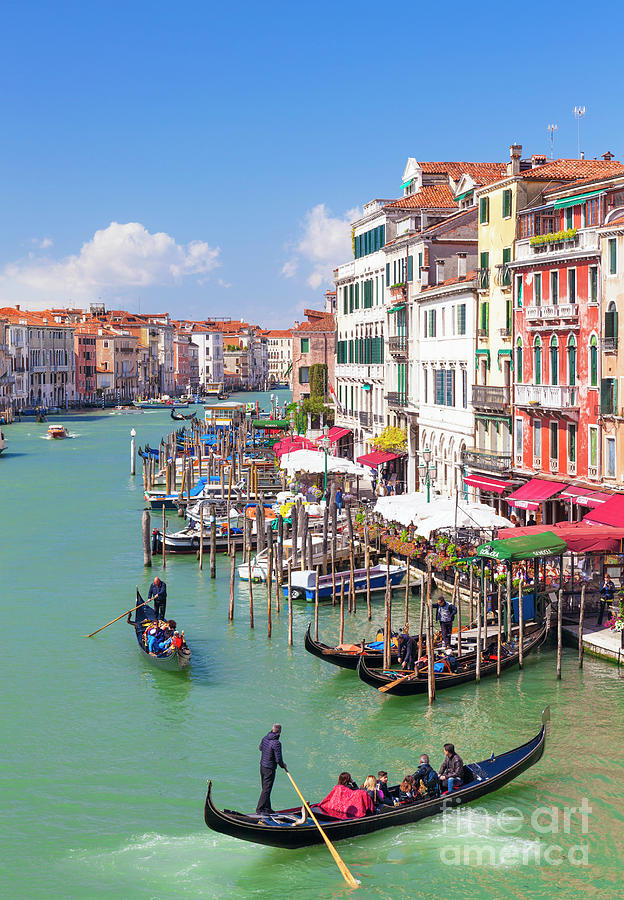 Grand Canal Gondolas, Venice Photograph by Neale And Judith Clark