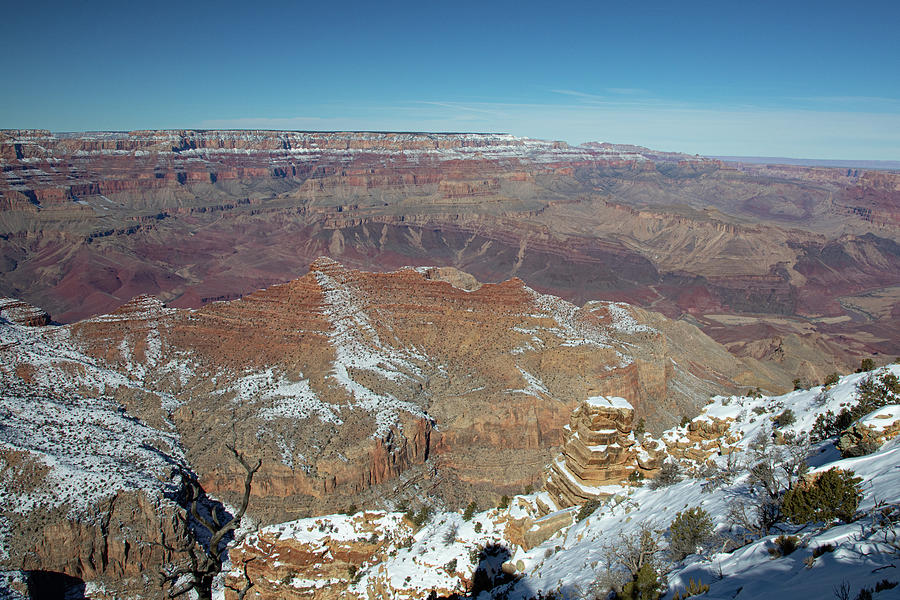 Grand Canyon #1 Photograph by Steve Templeton