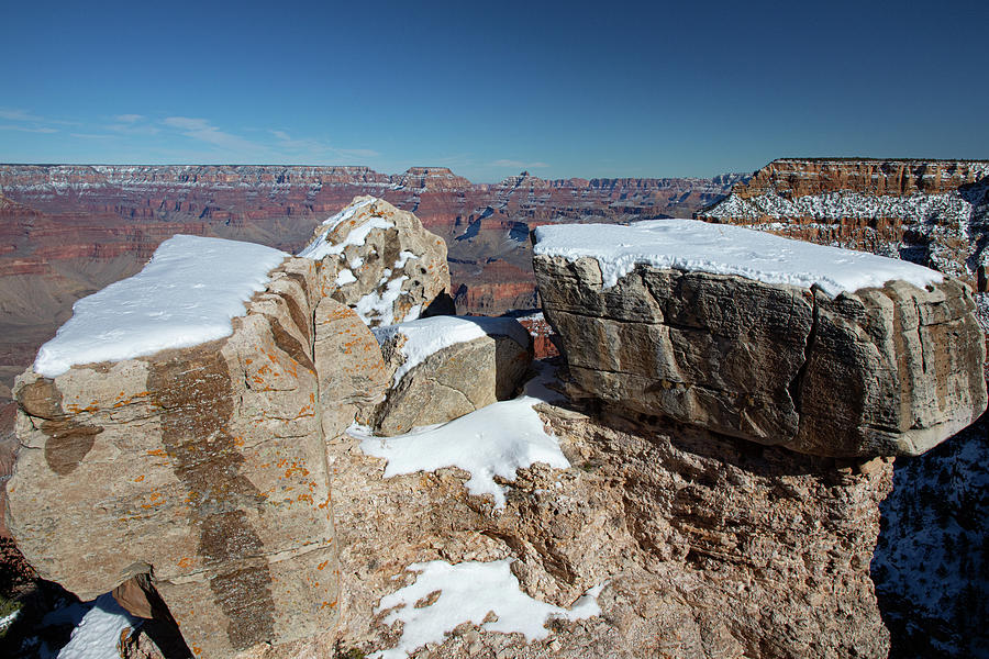 Grand Canyon #11 Photograph by Steve Templeton