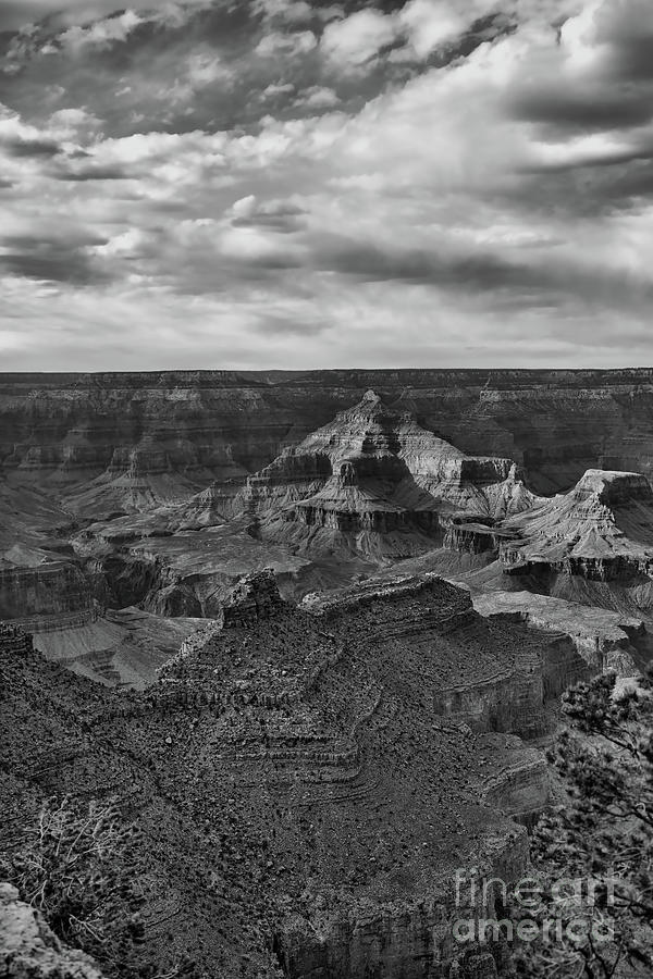 Grand Canyon 2022 BW  Photograph by Chuck Kuhn