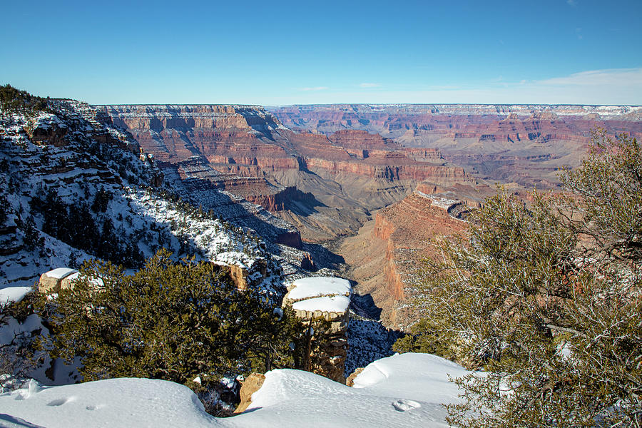 Grand Canyon #5 Photograph by Steve Templeton