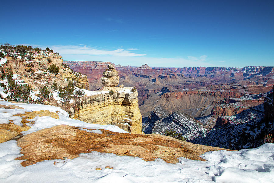 Grand Canyon #7 Photograph by Steve Templeton
