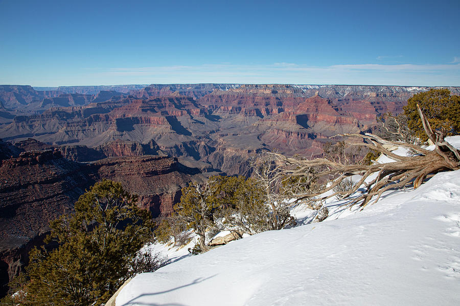 Grand Canyon #8 Photograph by Steve Templeton