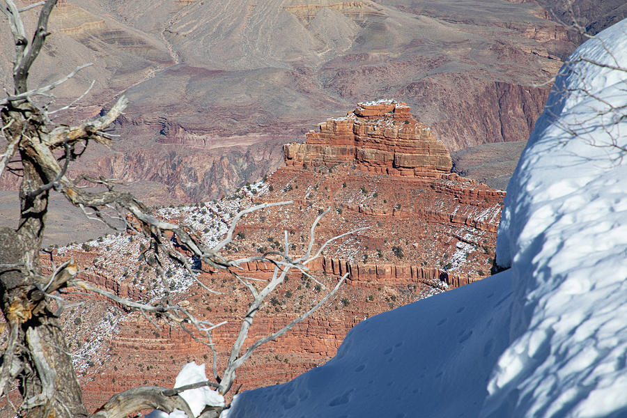 Grand Canyon #9 Photograph by Steve Templeton