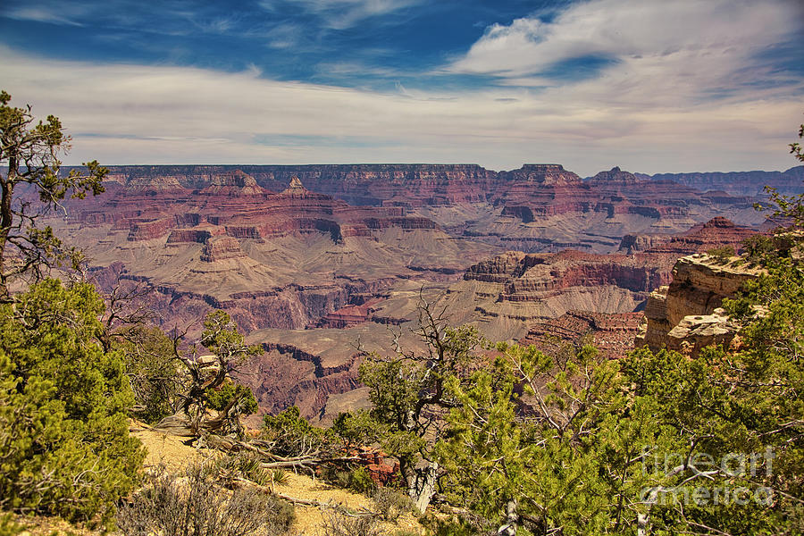 Grand Canyon National Park Photograph - Grand Canyon Arizona  by Chuck Kuhn