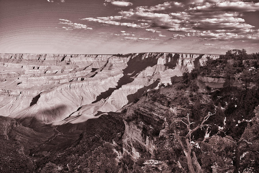 Grand Canyon, Arizona Monochrome Photograph by Chance Kafka