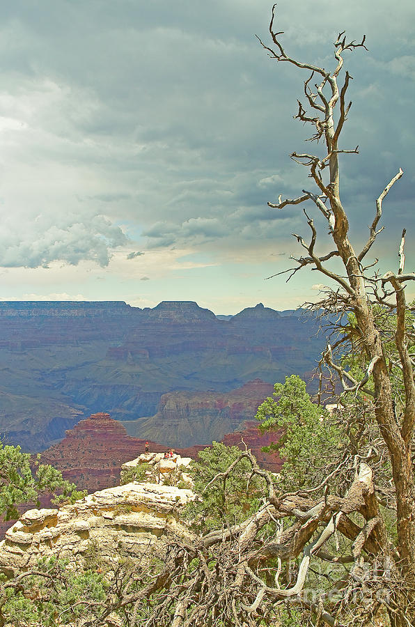 Grand Canyon Arizona Photograph by Nick Boren