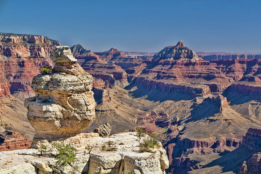 Grand Canyon Arizonia Photograph by Waterdancer