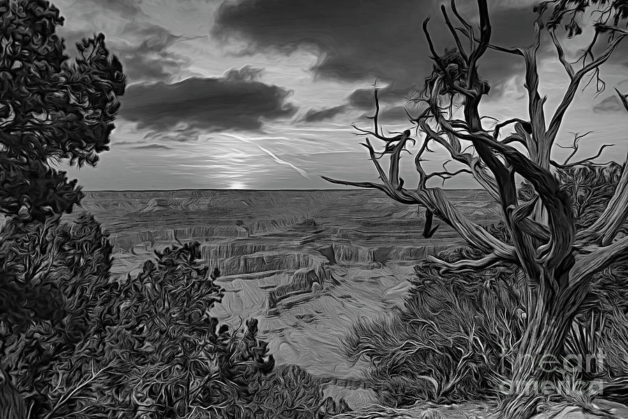 Grand Canyon BW Creative Art  Digital Art by Chuck Kuhn