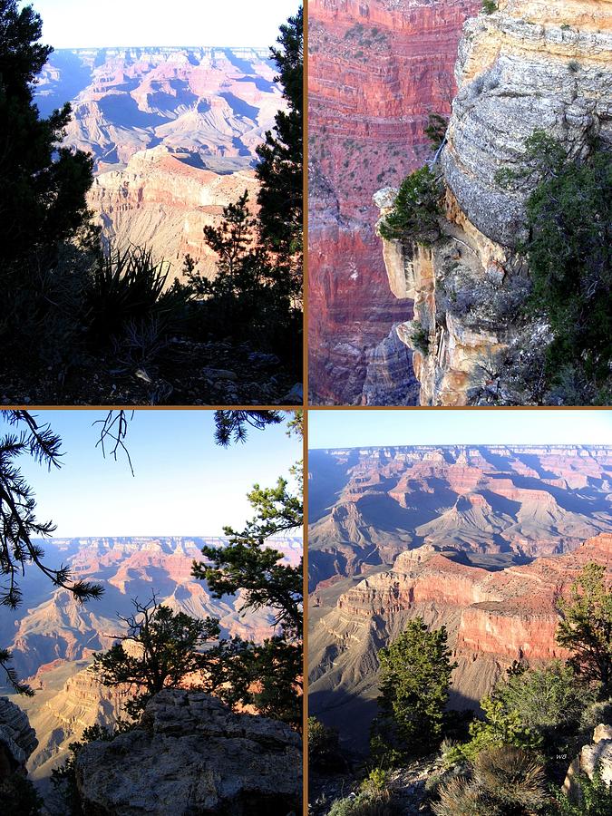 Grand Canyon Collage 10 Digital Art by Will Borden