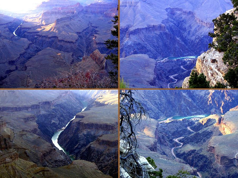 Grand Canyon Collage 13 Digital Art by Will Borden