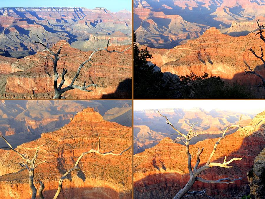 Grand Canyon Collage 8 Digital Art by Will Borden