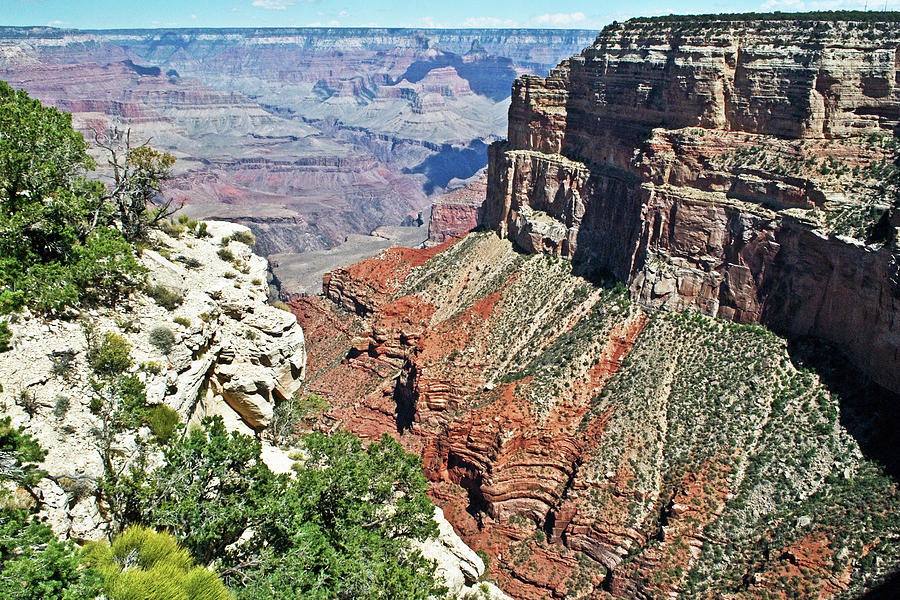Grand Canyon Colors Photograph by Gordon Sarti