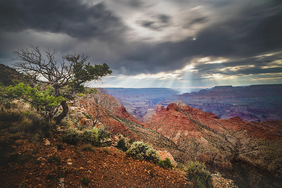 Grand Canyon Desert view 2 Photograph by Mati Krimerman
