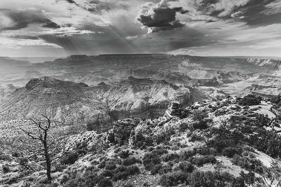 Grand Canyon Desert view 3 BW Photograph by Mati Krimerman