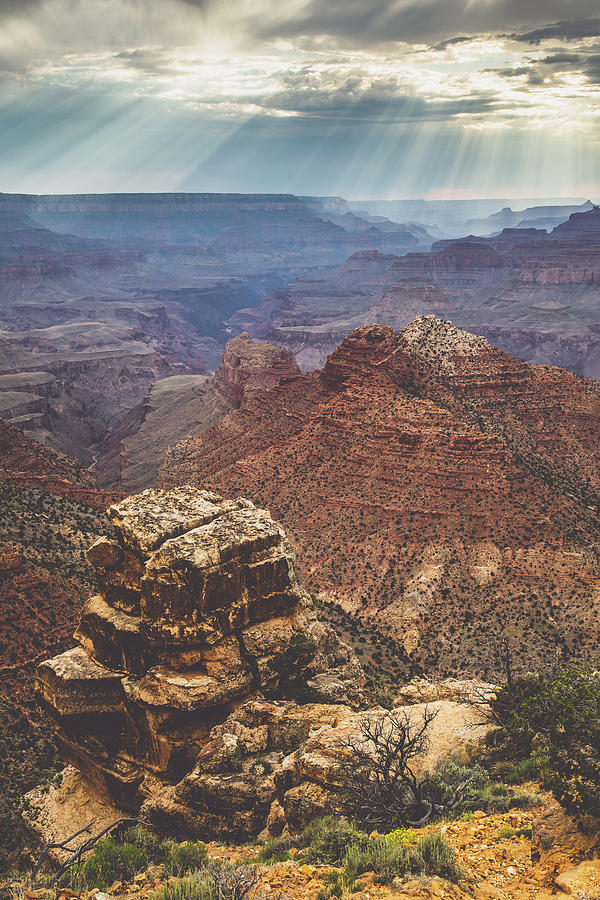 Grand Canyon Desert view 7 Photograph by Mati Krimerman