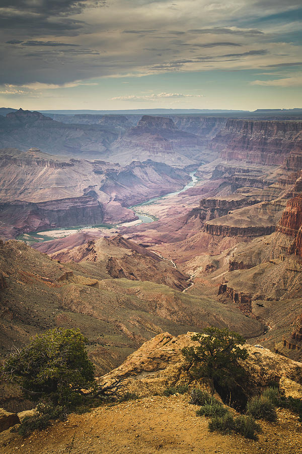 Grand Canyon Desert view 8 Photograph by Mati Krimerman