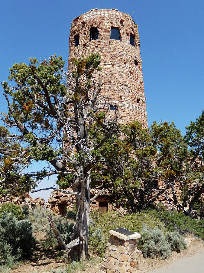 Grand Canyon Desert View Watchtower			 Photograph by Sharon Williams Eng