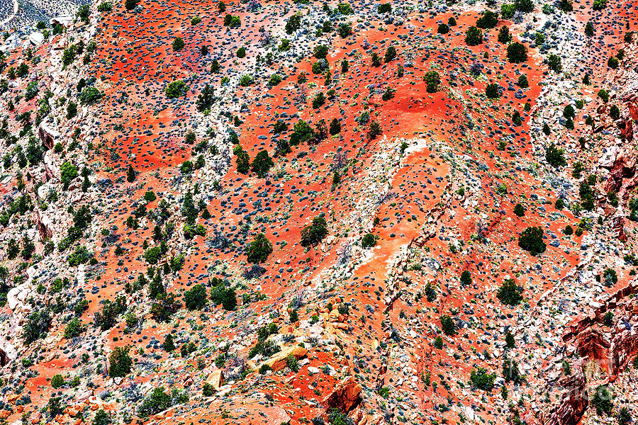Grand Canyon Details Photograph by John Rizzuto