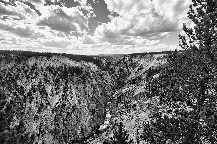 Grand Canyon From Inspiration Point 2 Black and White Photograph by Judy Vincent