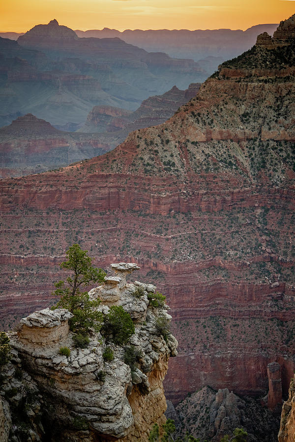 Grand Canyon from South Rim Trail 2 Photograph by Mati Krimerman