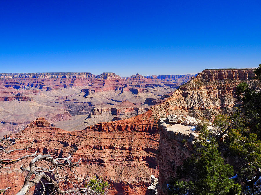 Grand Canyon, from the South Rim Photograph by Life Makes Art