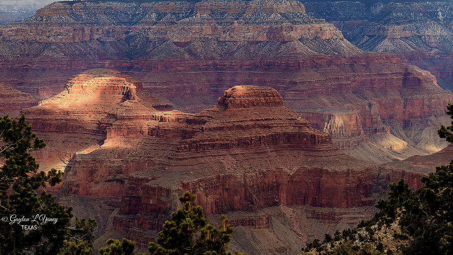 Grand Canyon Photograph by G Lamar Yancy