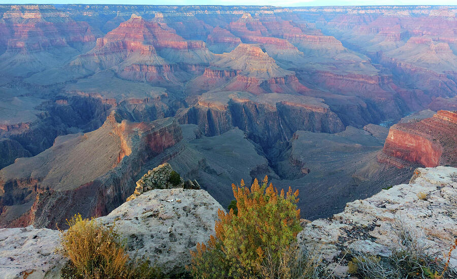 Grand Canyon Golden Hour Photograph by Marlin and Laura Hum - Fine Art ...