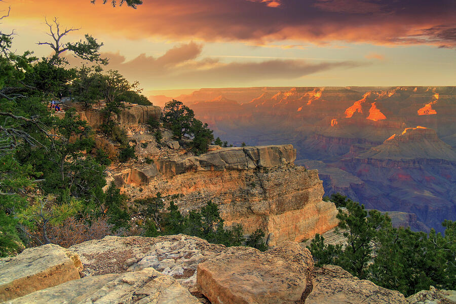 Grand Canyon Golden Sunset Photograph by Robert Harris