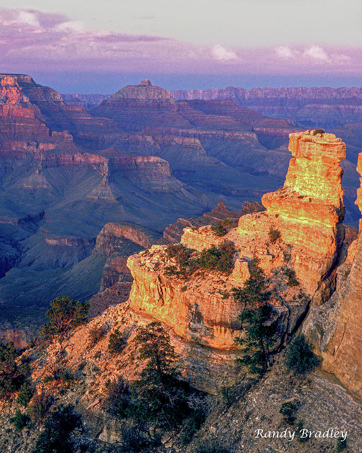 Grand Canyon Golden Tower  Photograph by Randy Bradley