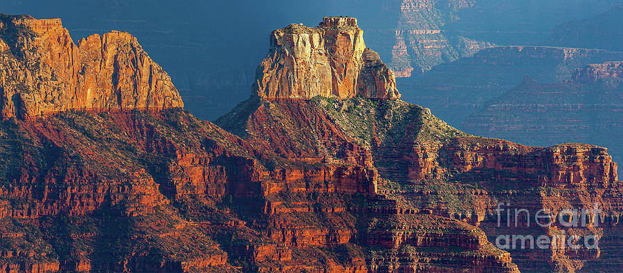 Grand Canyon in details Photograph by Henk Meijer Photography