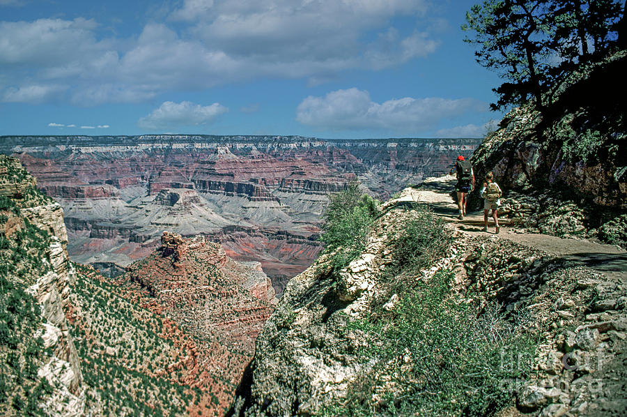Grand Canyon Kaibab Trail Photograph by David Zanzinger