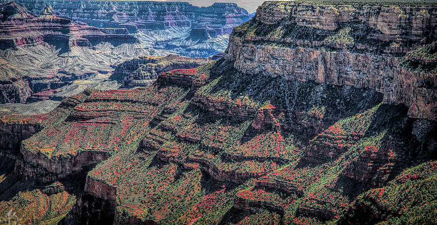 Grand Canyon National Park Photograph - Grand Canyon Landscape Color  by Chuck Kuhn