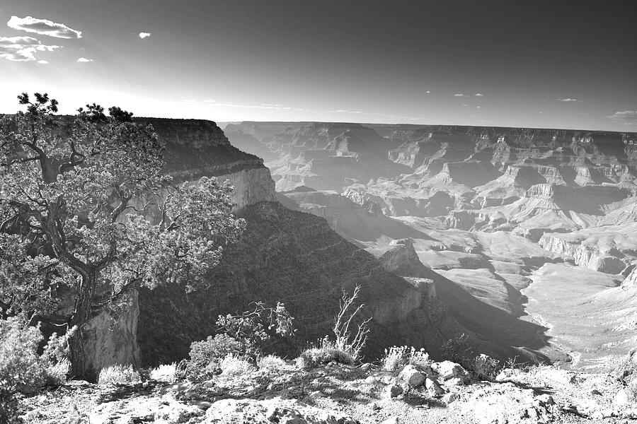 Grand Canyon Layers in Black and White Photograph by Chance Kafka