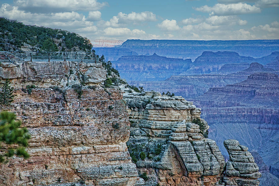 Nature Photograph - Grand Canyon Layers of Nature  by Chuck Kuhn
