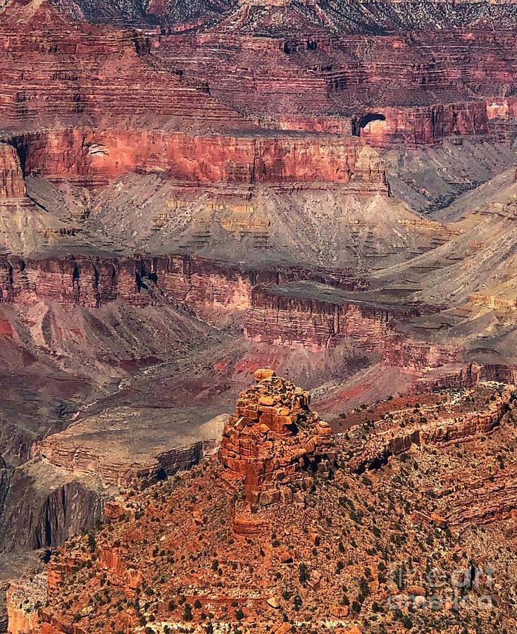 Grand Canyon  Photograph by Marcia Breznay