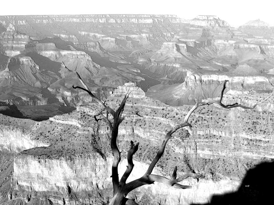 Grand Canyon Monochrome Photograph by Will Borden