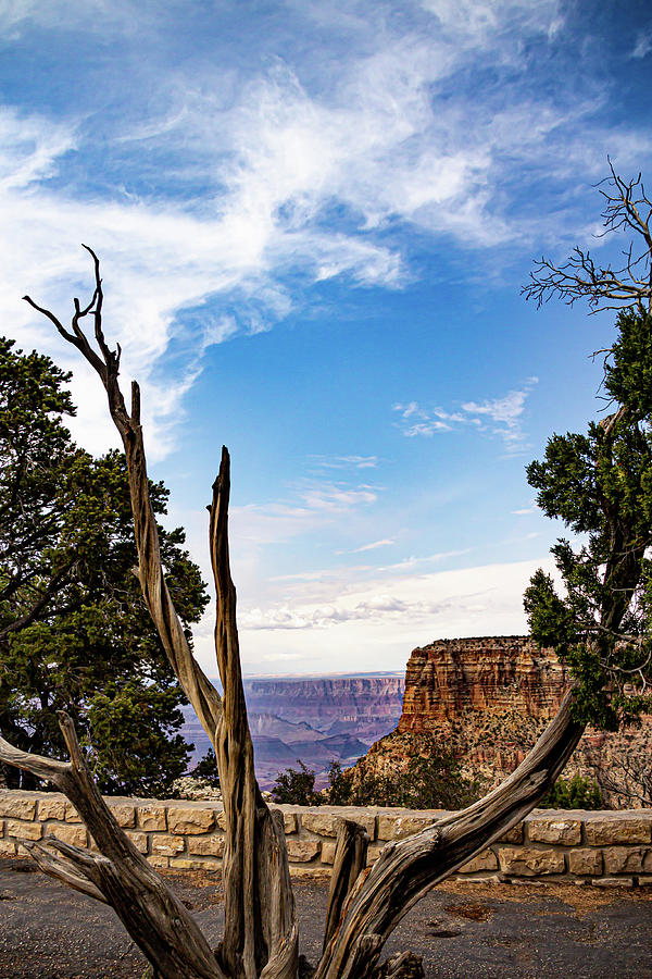 Grand Canyon National Park 4 Photograph by Cindy Robinson