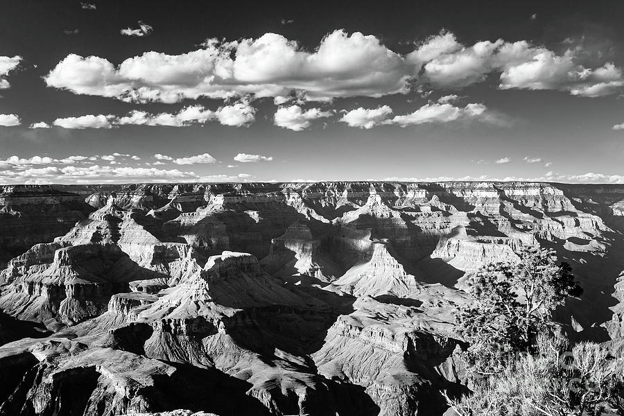 Grand Canyon National Park, Arizona, USA Photograph by Henk Meijer Photography