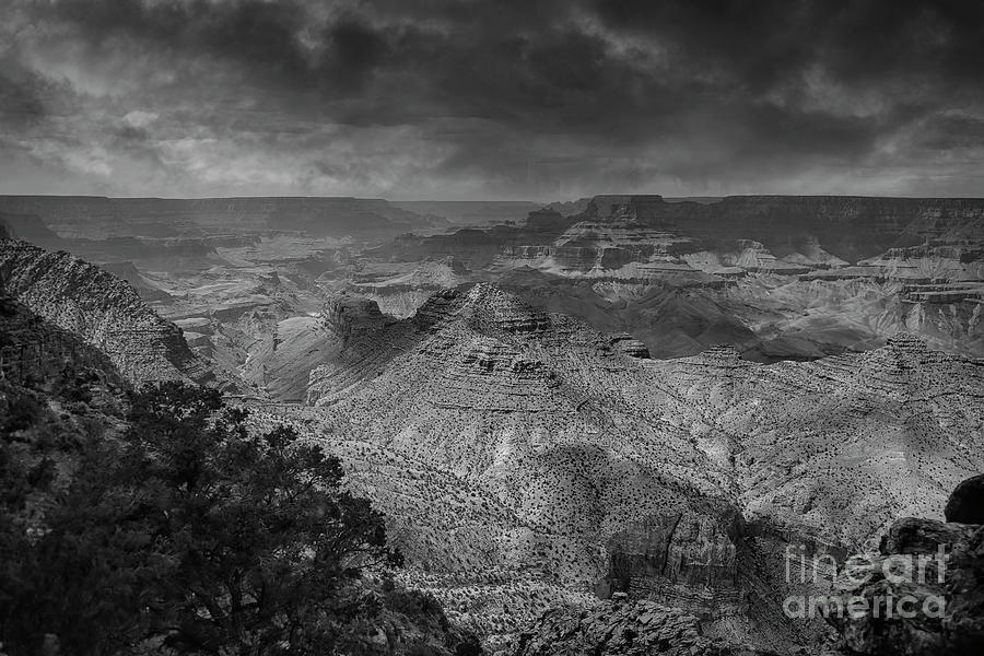 Grand Canyon National Park Photograph - Grand Canyon National Park Black White Scenery  by Chuck Kuhn