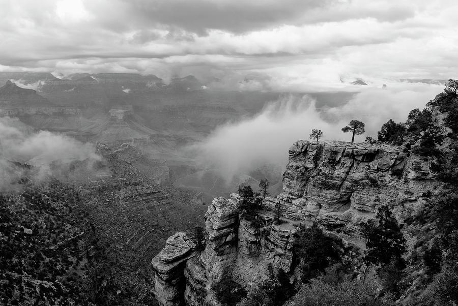 Grand Canyon National Park BW Photograph by Bob Pardue