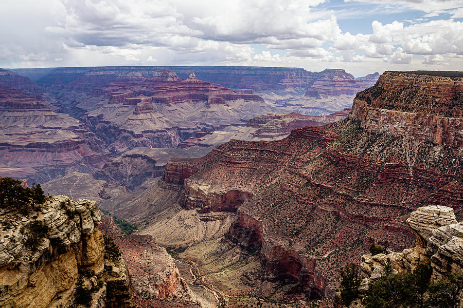 Grand Canyon National Park Photograph by Cindy Robinson
