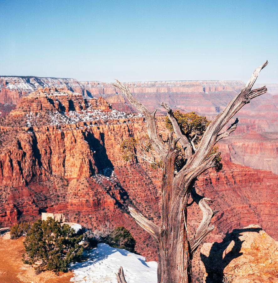 Grand Canyon National Park Photograph by Eugene Nikiforov