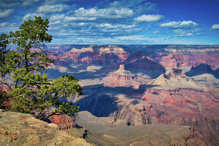 Grand Canyon National Park Photograph by Robert Blandy Jr