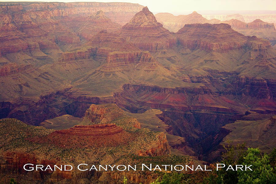 Grand Canyon National Park Springtime Poster Photograph by James BO Insogna